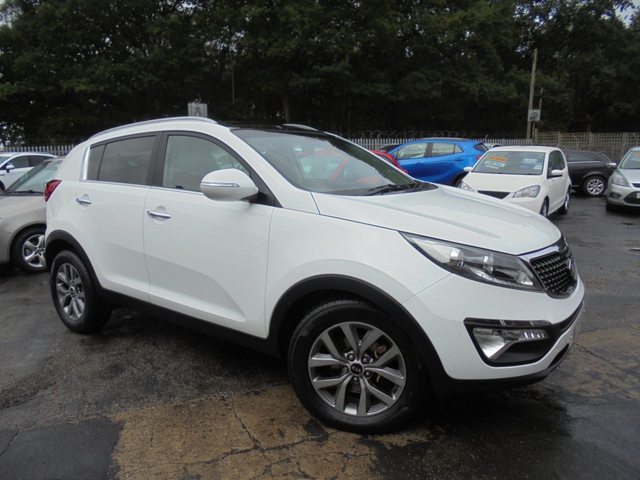 2014 Kia Sportage